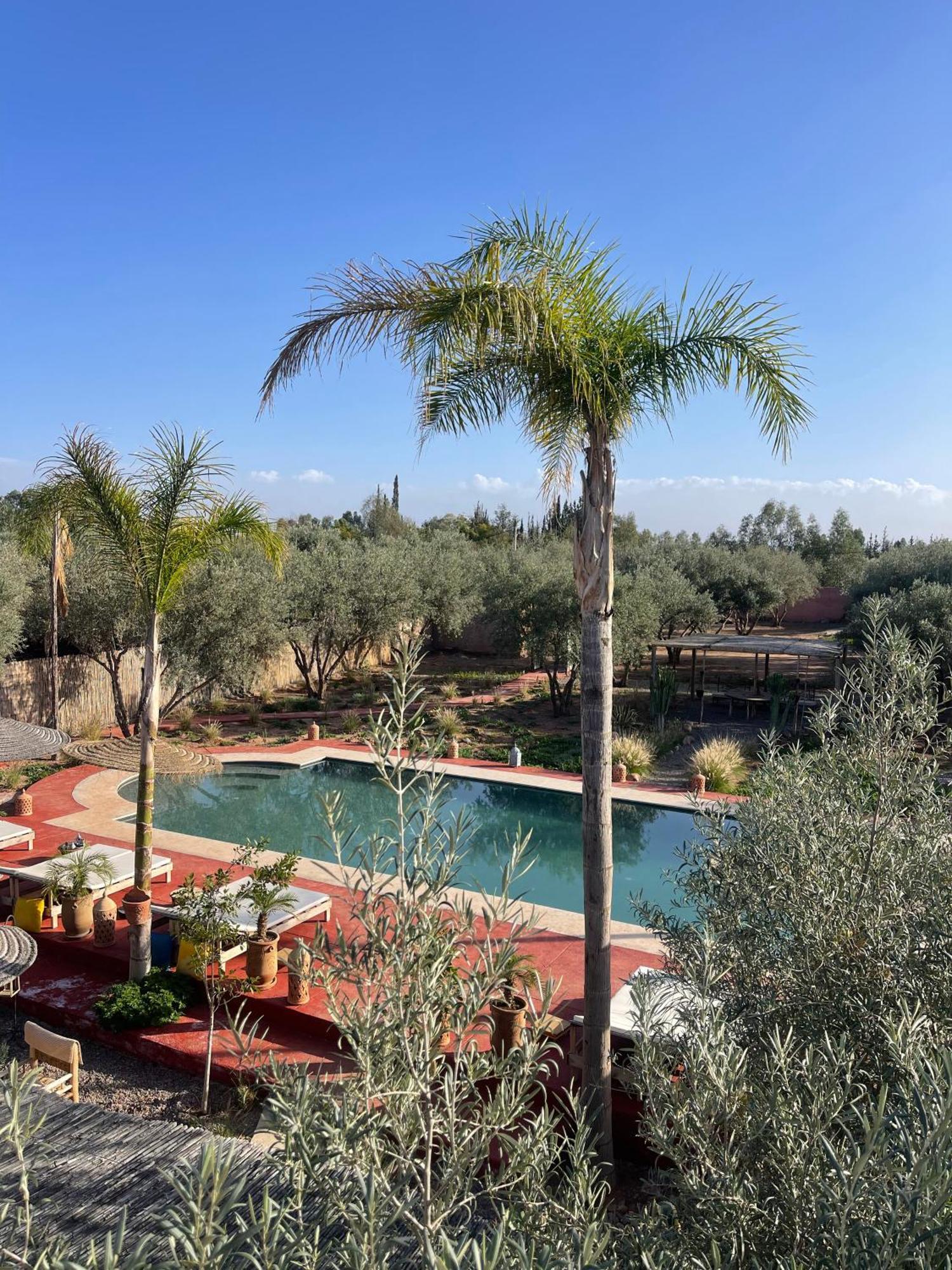 Villa Chez Marie Marakeş Dış mekan fotoğraf